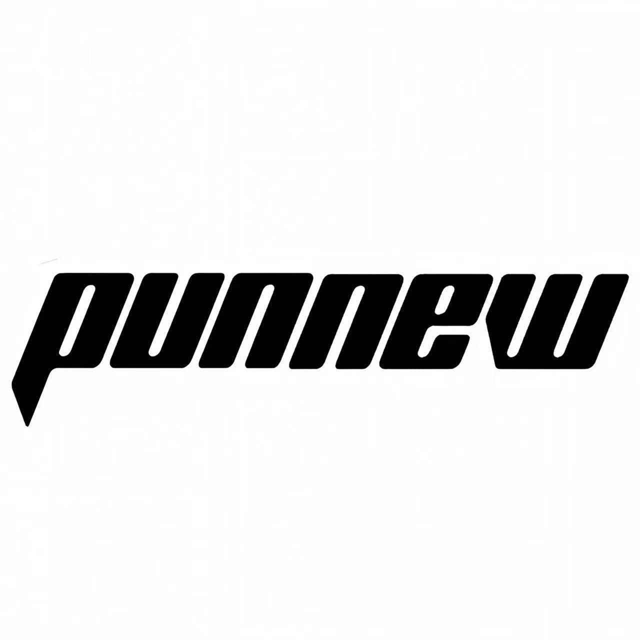 PUNNEW