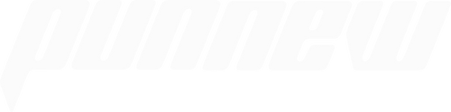 PUNNEW
